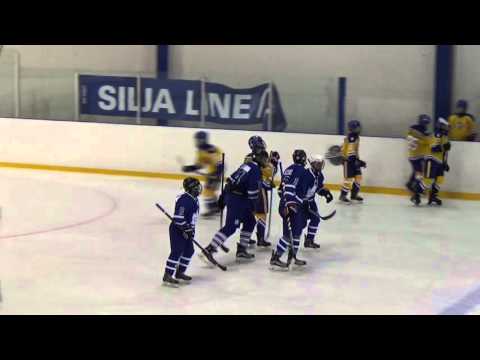 9. 2016 WSI 03 Pro Hockey - Sweden Selects