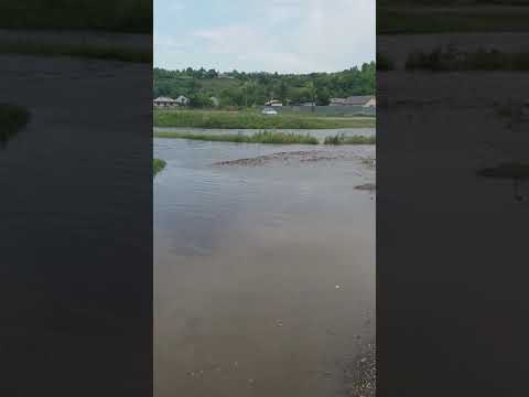 Inundatie ODAIA MANOLACHE  str Armanului Șoseaua principala