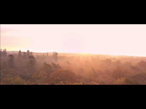 Into the mist - Cinematic video