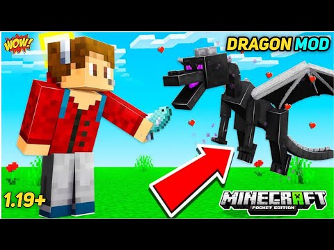MINECRAFT BUT I HAVE A BABY ENDER DRAGON MOD FOR MCPE 1.19