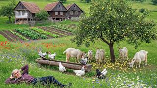 Um Dia Tranquilo em uma Vila Suíça – Colhendo Maçãs, Cortando Grama e Cuidando dos Animais