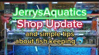 SIMPLE TIPS ABOUT FISH KEEPING