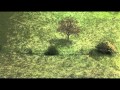 Secret Garden - Windancer
