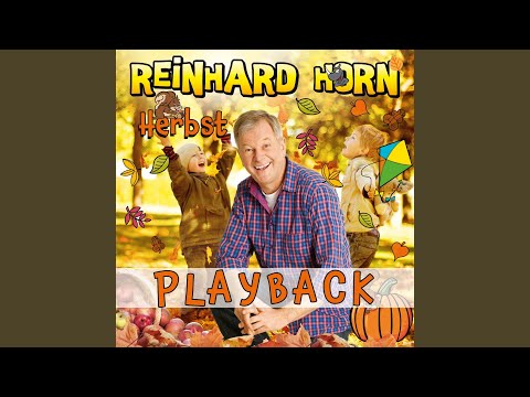 Wenn wir durch den Nebel gehn (Playback)