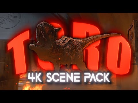 CC Toro 4K Scenes Pack 