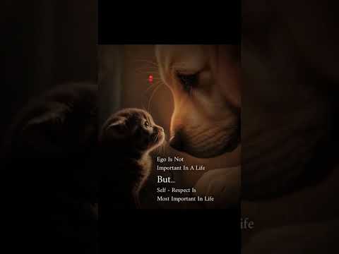 #shorts #ytshorts#selfvalue