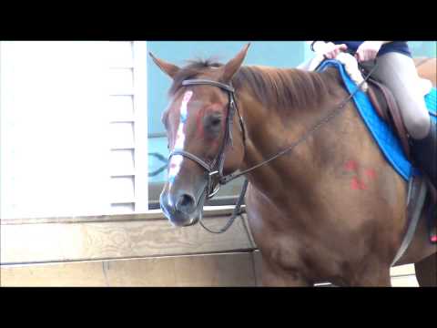 ∞ One Year With Miss Monroe ∞