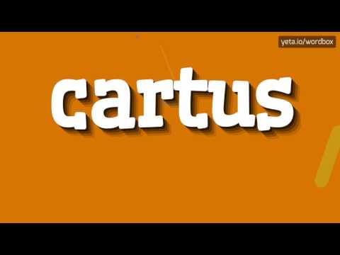 CARTUS - HOW TO PRONOUNCE IT!?
