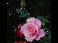 Putham Pudhu Kalai Song Megha Movie Tamil Whatsapp Status