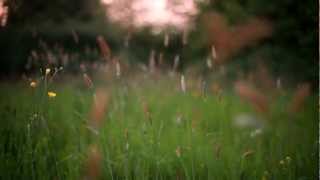 shine of April full virsion