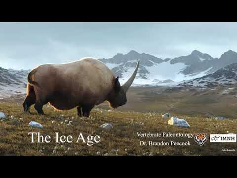 Lecture 29: The Ice Age (April 23)