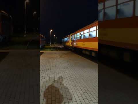 BZ halad ki Pocsaj - Esztár megállóhelyről Nagykereki felé.