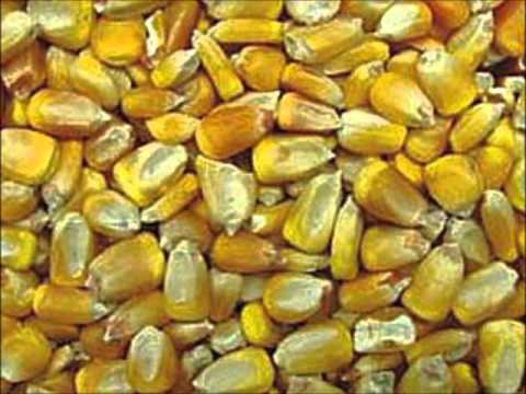 Top 40 Hits Of 1942 23 Woody Herman I'll Remember April