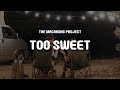 Hozier - Too Sweet (Cover by The Macarons Project) (Lyrics)