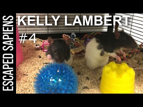 Improve Your Brain By Changing Your Behavior | Kelly Lambert | Escaped Sapiens Podcast #4
