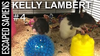 #4 Kelly Lambert | Improve Your Brain By Changing Your Behavior