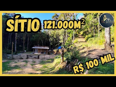 SÍTIO DE 5 ALQUEIRES EM BOCAIÚVA DO SUL/RIO/CASA SIMPLES/ 14 KM DA BR