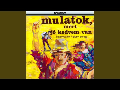 Piros volt a paradicsom