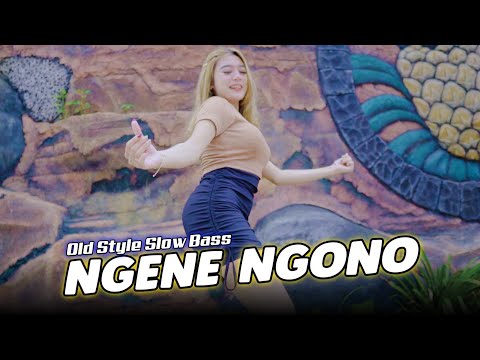 Dj Ngene Ngono - Riski Irvan Nanda 69 Project