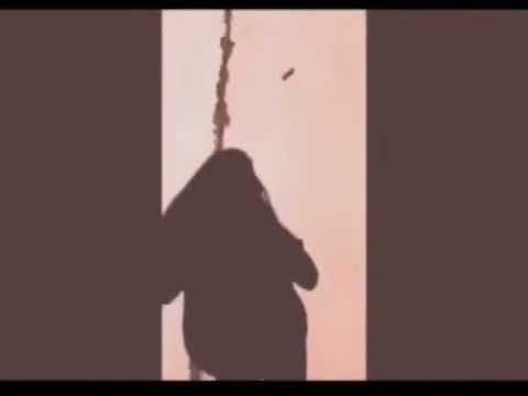 Dolores/ Video Arte