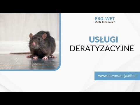 Zobacz filmy, Eko-Wet Piotr Jancewicz Technik weterynarii, Ełk