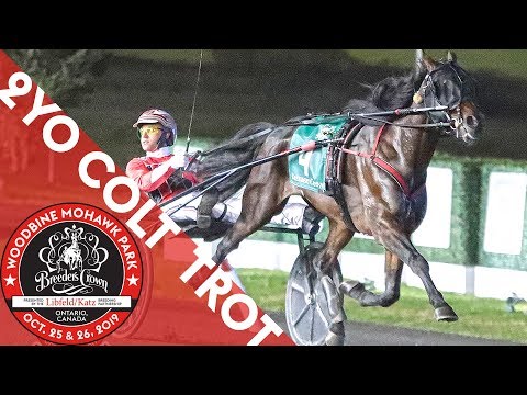 2019 Breeders Crown - Amigo Volo - 2CT