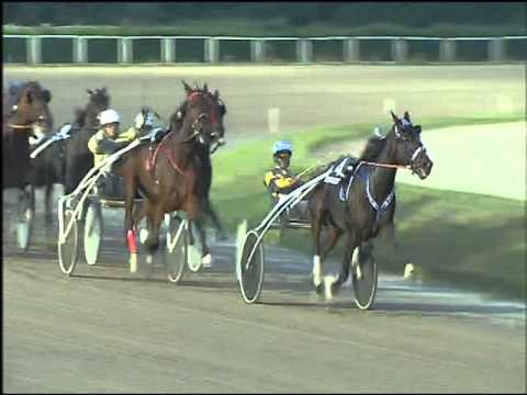 Trotto 25/10/2015 - 7° corsa G.P. FRECCIA D'EUROPA