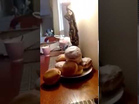 każdy tłusty czwartek nie może obyć się bez pączka chociaż jednego ...