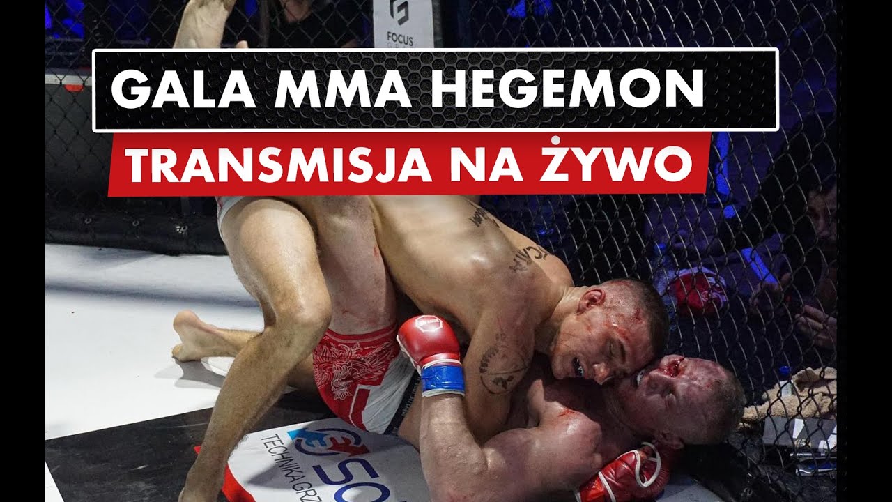TRANSMISJA NA ŻYWO: Gala MMA Hegemon w Sanoku (13 kwietnia)