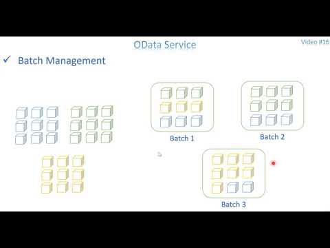 Video 16: OData Service - Batch Process (GET) Part 1