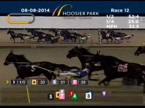 21st Dan Patch Stakes 8/8/2014 Sweet Lou 1:47.2 (Track & Stakes Record)