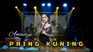 Download lagu ANINDYA - LANGGAM PRING KUNING - BAYU MUSIC  mp3