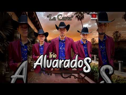 TRIO ALVARADOS - Corrido Pablo Ramirez