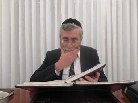 הרב יהושע ביבי - ספירת העומר - שיעור 043 - שי' הש''ש דף קי''ג סוע''א אות ה' במערכת החו''ג