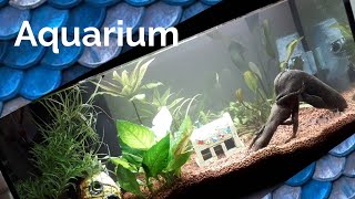 Erstes Aquarium Aufbau und Aktivierung | Tetra Starter Line Aquarium Komplett-Set im Test
