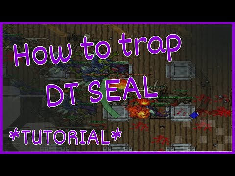 Tibia - Profit for ek- How to trap DT Seal on Feru *Tutorial*