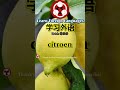 Fruits 水果 How To Pronounce Lemon 柠檬 In Dutch Shorts