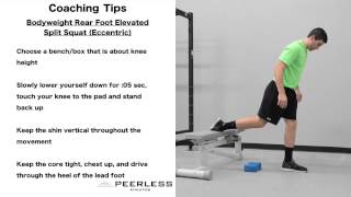 211. Bodyweight Rear Foot Elevated Split Squat (Eccentric)