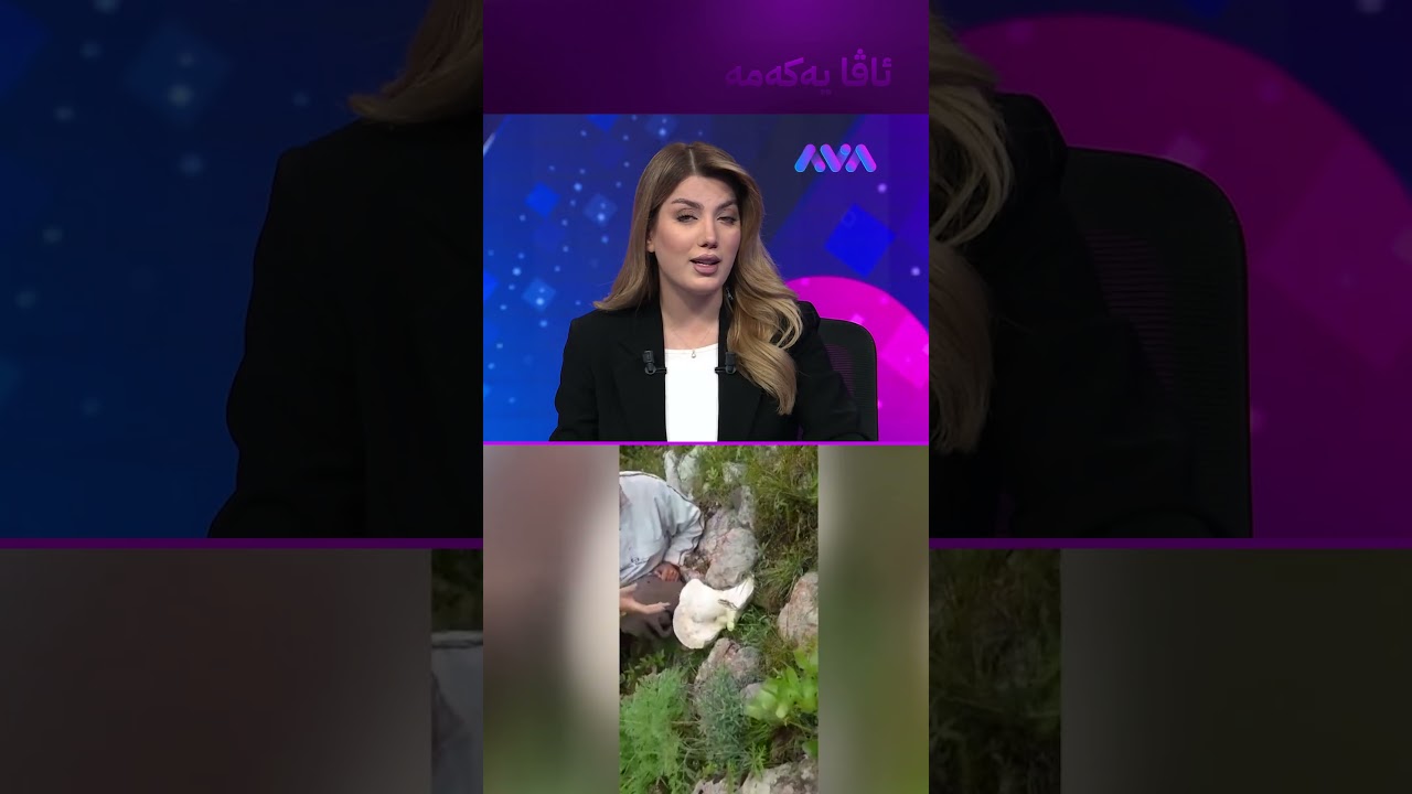 ڤیدیۆ | کوارگێکی گەورە لە بانەی ڕۆژهەڵاتی کوردستان دۆزراوەتەوە