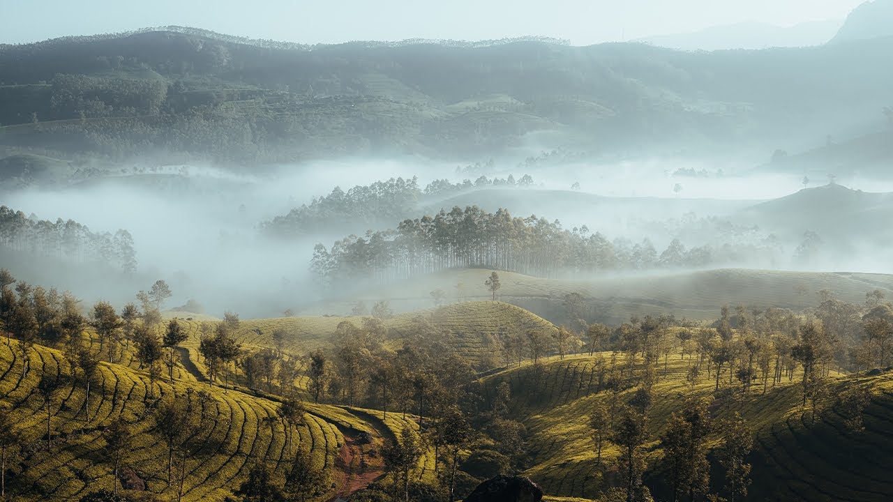 Munnar - Chasing the clouds