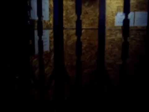 Old gated Otis freight elevator (1960)