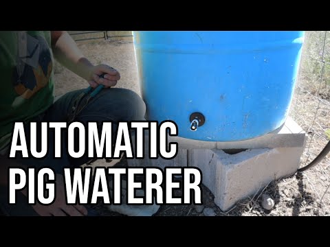 , title : 'How To Make an Automatic Watering System For Pigs'