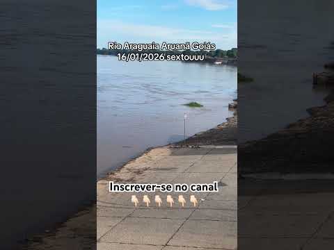 Rio Araguaia Aruanã Goiás 16/01/2026 #pescaria #pesca #fishing #shorts #turismo