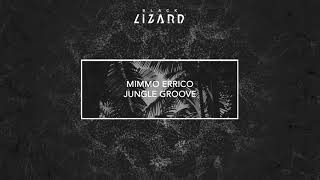 Mimmo Errico - Jungle Groove video