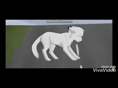 Клип коты воители. Белогривка и Остролап (песня - Бездушное тело в крови лежало на асфальте)