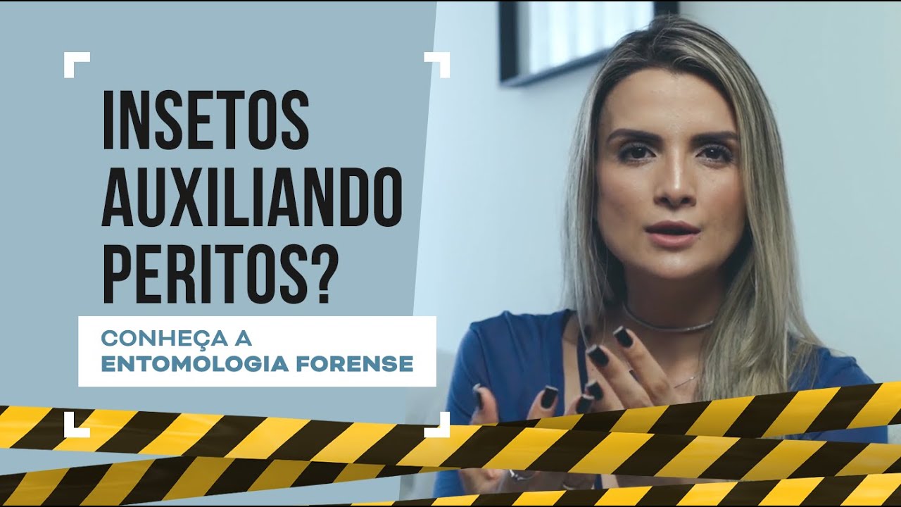 Como insetos podem ser fundamentais em uma cena de crime?