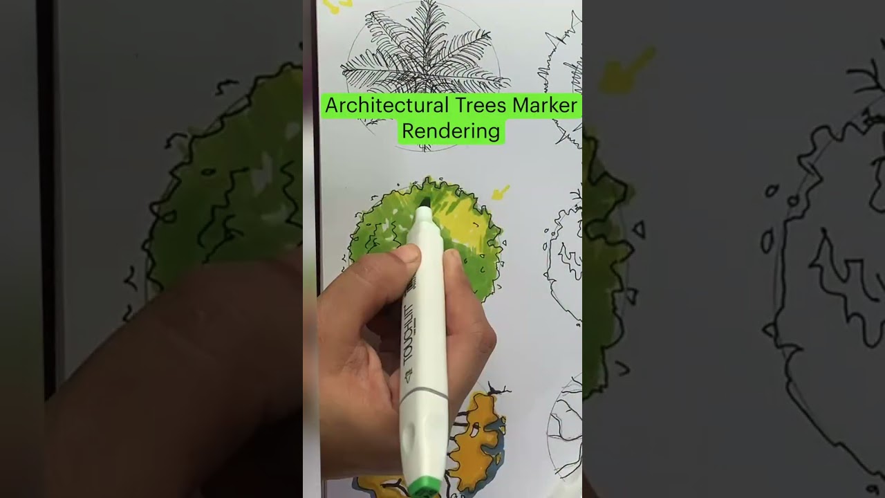 Architectural Trees Marker rendering.#sketch #treesketch #cad #cad #colors