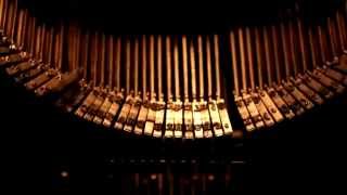 Gustavo Cerati -Todos duermen/paracaídas Video Arte