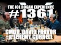 Joe Rogan Experience 1361 Cmdr David Fravor Jeremy Corbell