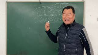 조류기피제 방법 근본적인 내용